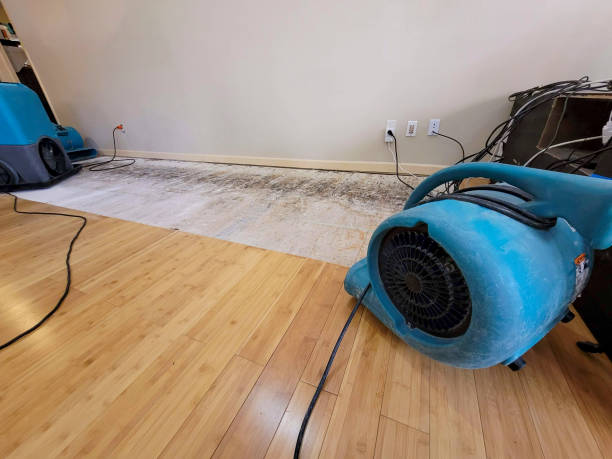 Professional Burst Pipe Water Damage technician working in Davis Junction, IL